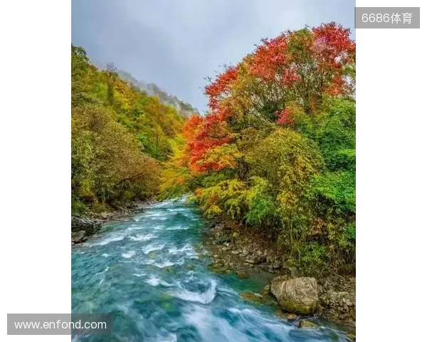 二郎山喇叭河赏秋之旅:立体彩林、野生动物、溪谷红石融为一体